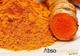 AbsoCurcumin In Berlin