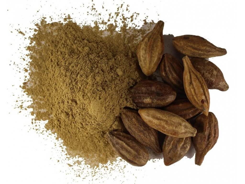 Terminalia Chebula In Koblenz